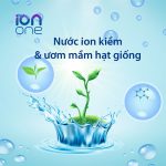 Nước ion kiềm và ươm mầm hạt giống