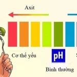 Sự cân bằng giữa axit và kiềm trong cơ thể