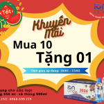 Khuyễn mãi chào xuân “Mua 10 tặng 1”