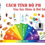 Ứng dụng và cách tính độ PH trong sức khỏe và đời sống