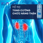 ION ONE – Thải Độc Tự Nhiên, Hỗ Trợ Tăng Cường Chức Năng Thận